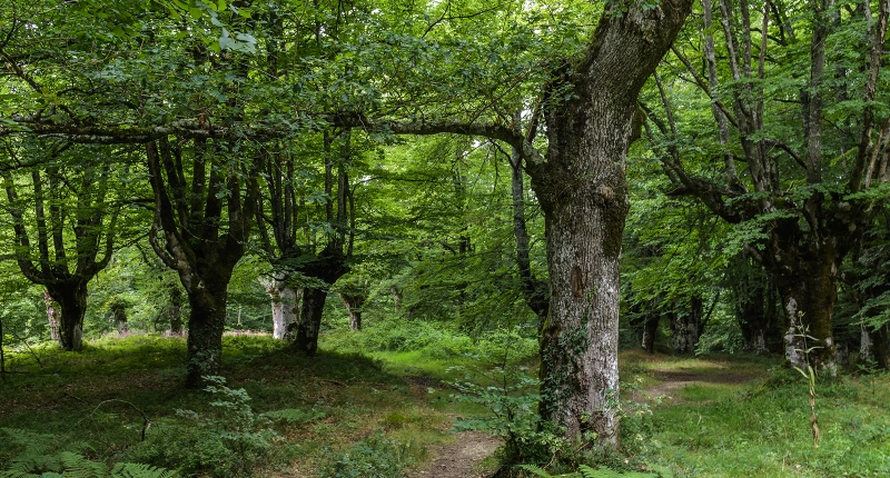 Blogcikkünkben segítünk meghatározni, hogy pontosan mennyit érhet a kerted.